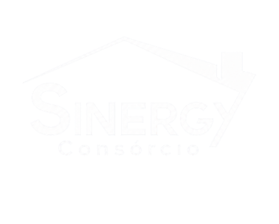Logo Sinergy Representacoes Ltda
